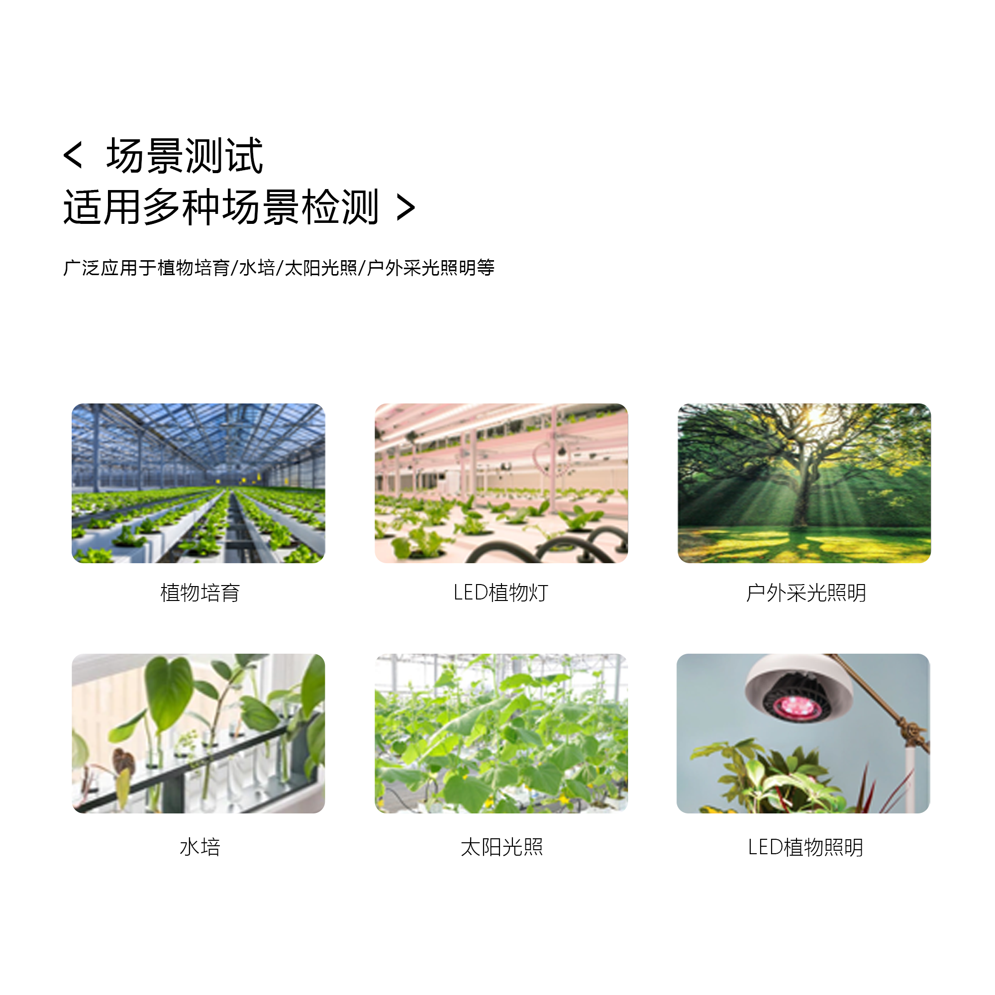 HPCS-311植物光照分析仪（防水版）